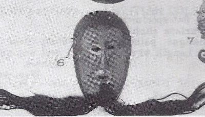000159 Borneo, Sarawak, Dayak, Iban, mask
