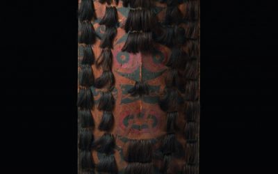 000182 Borneo, East Kalimantan, Dayak, shield