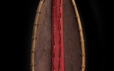 000398 Borneo, West Kalimantan or Sarawak, Land Dayak, Bidayu, shield
