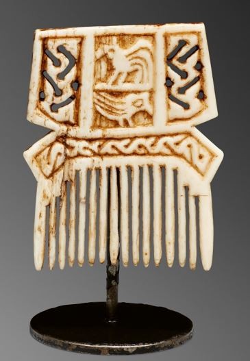 000949 Moluccas, Tanimbar, comb