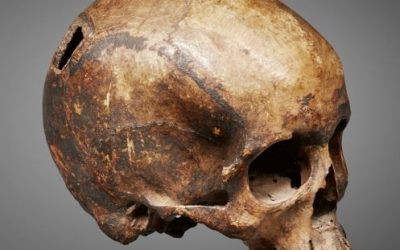 000966 Borneo, Kalimantan, Dayak, trophy skull