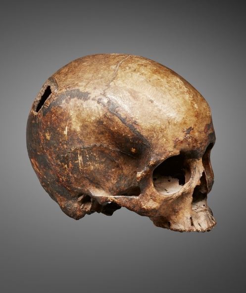 000966 Borneo, Kalimantan, Dayak, trophy skull