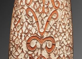 000973 Papua Barat, NW Asmat, war shield