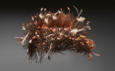 000975 Papua Barat, Central Highlands, Dani, ceremonial headdress