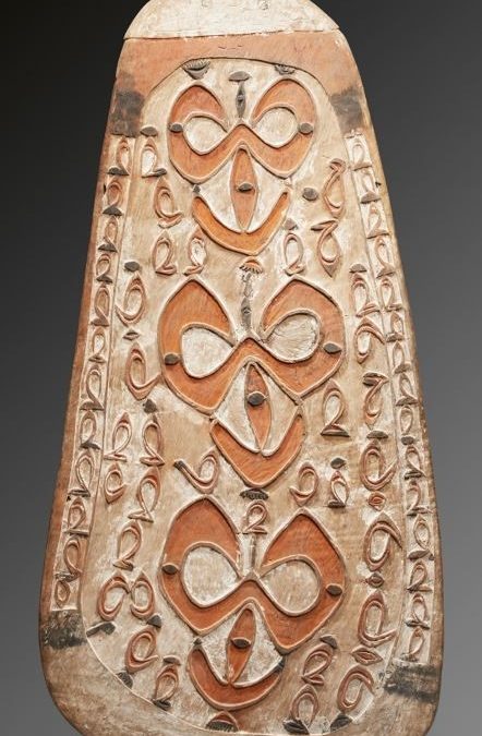 000978 Papua Barat, NW Asmat, war shield