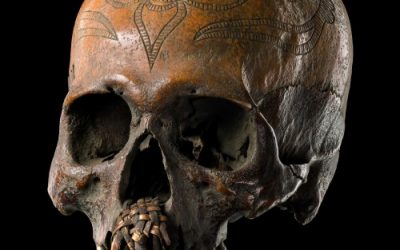 000192 Borneo, Central Kalimantan, Barito, Dayak, trophy skull