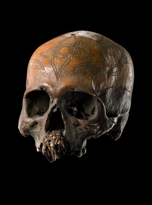 000192 Borneo, Central Kalimantan, Barito, Dayak, trophy skull