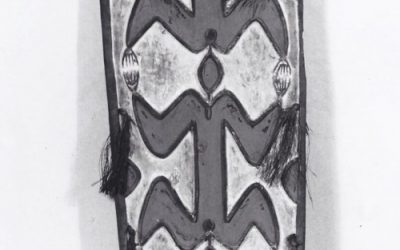 001098 Papua, Central Asmat, war shield
