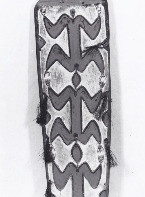 001098 Papua, Central Asmat, war shield