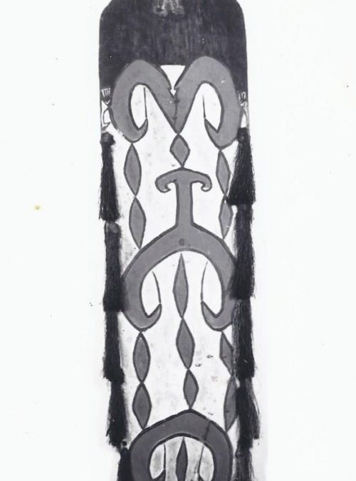 001116 Papua, Asmat, Casuarina Coast war shield