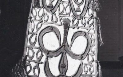 001119 Papua, Northwest Asmat, war shield