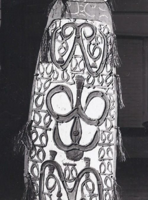 001119 Papua, Northwest Asmat, war shield
