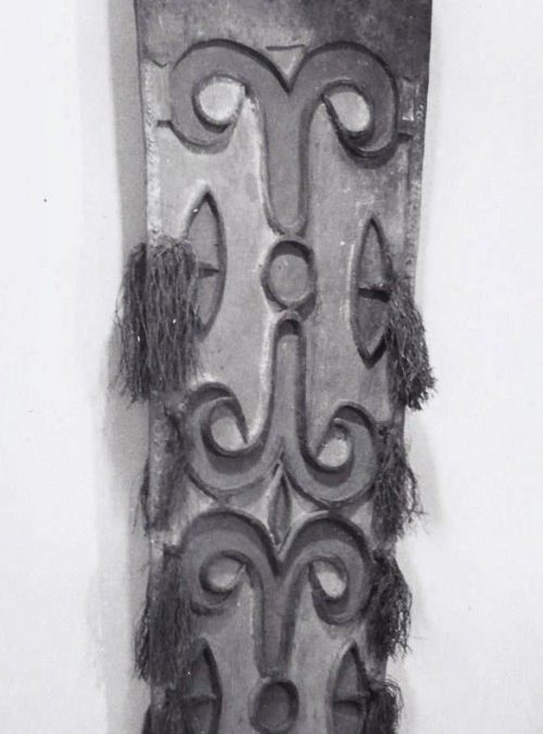 001121 Papua, Central Asmat, war shield