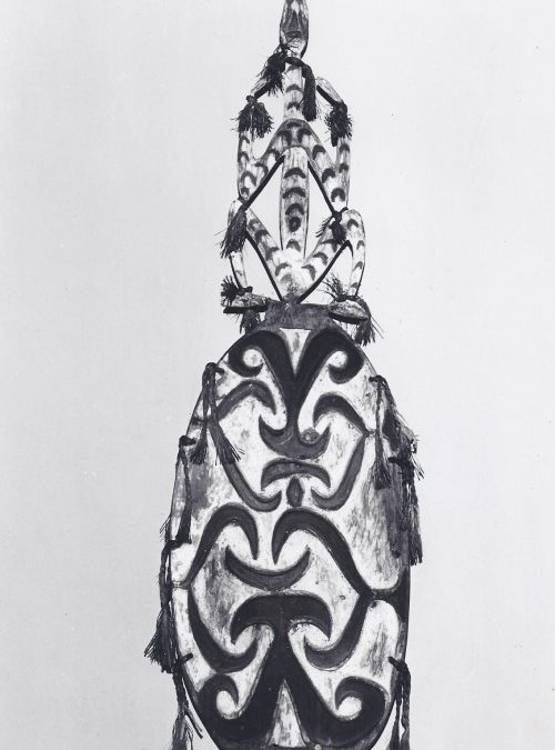 001131 Papua, Asmat, war shield