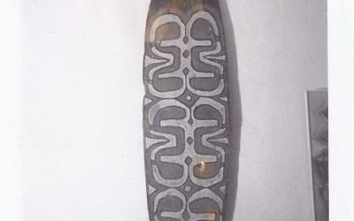 001164 Papua Barat, Mappi Digul war shield