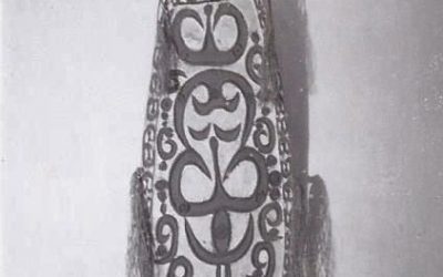 001165 Papua Barat, Northwest Asmat, war shield