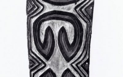 001179 Papua Barat, Mappi-Digul, shield