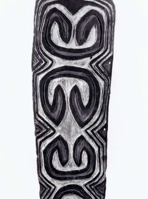001179 Papua Barat, Mappi-Digul, shield