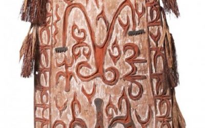 000804 Papua, Northwest Asmat, war shield