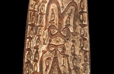 001271 Papua, Northwest Asmat, war shield