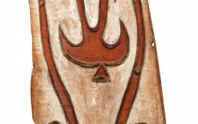 001293 Papua, Asmat, war shield