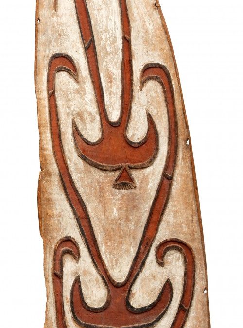 001293 Papua, Asmat, war shield