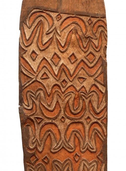 001295 Papua, Asmat, Citak, war shield