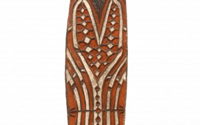 001300 Papua, Asmat, Citak, war shield