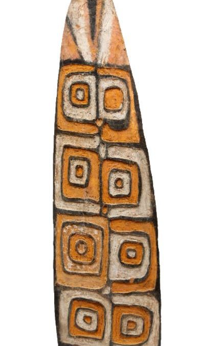 001324 Papua, Eastern Asmat, war shield