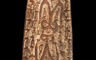 001344 Papua, NW Asmat, war shield