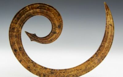 001384 Sulawesi, brass head ornament