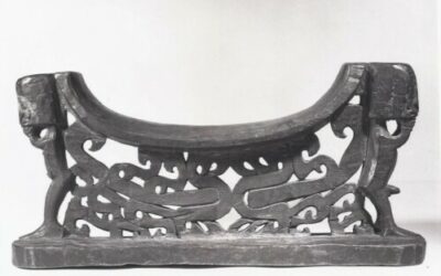 001123 Papua, Cenderawasih Bay, headrest