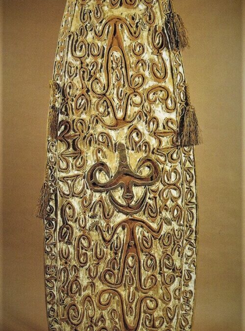 001430 Papua, N.W. Asmat war shield