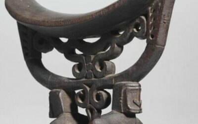 001460 Papua, Cenderawasih Bay, Waropen, headrest