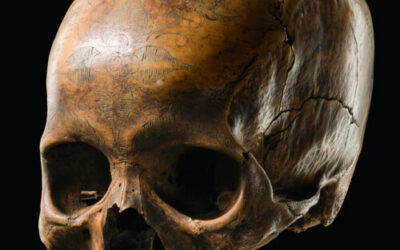 000176 Borneo, West or Central Kalimantan, Dayak, skull