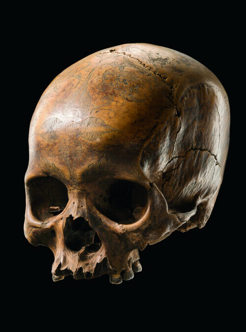 000176 Borneo, West or Central Kalimantan, Dayak, skull