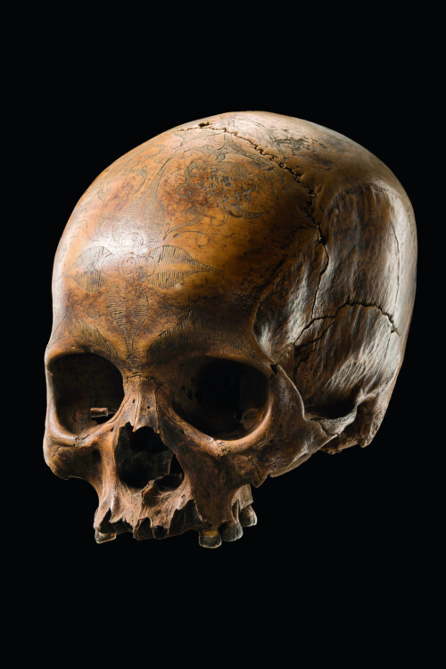 000176 Borneo Kalimantan Dayak human skull incised with floral motifs bone Prov. P. Serre, Marseille, Dupuis 1969,