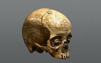 000832 Borneo, East Kalimantan/Sarawak, Kayan Dayak, skull