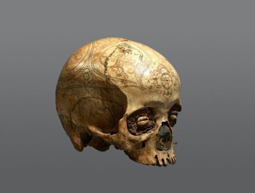 000832 Borneo, East Kalimantan/Sarawak, Kayan Dayak, skull