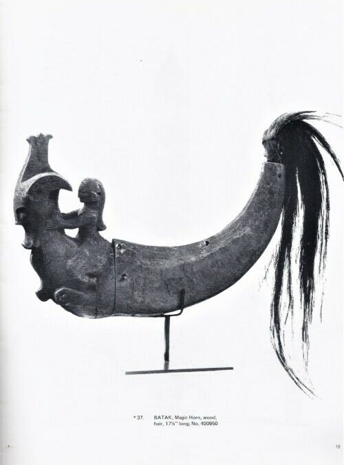001564 Sumatra, Batak, priest’s horn