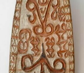 001643 Papua, Northwest Asmat, war shield