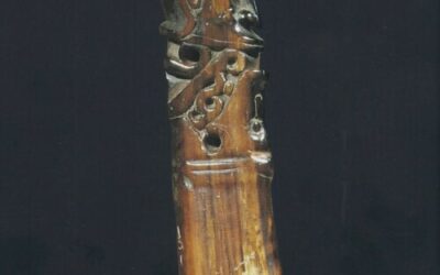 001694 Papua, Cenderawasih Bay, fisher’s amulet