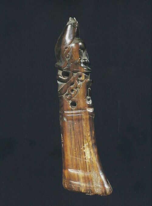 001694 Papua, Cenderawasih Bay, fisher’s amulet