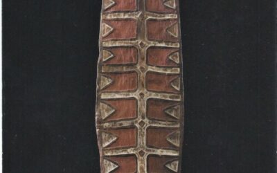 001696 Papua, Wildeman River, Citak, Asmat, war shield