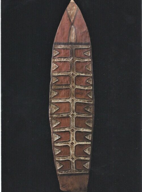 001696 Papua, Wildeman River, Citak, Asmat, war shield