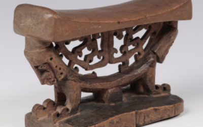 001875 Papua, Cenderawasih Bay, neckrest