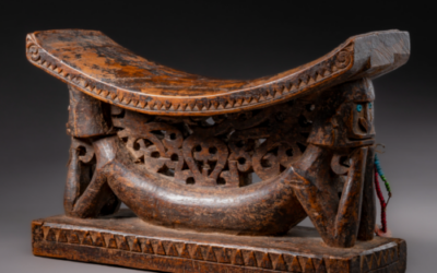 001894 Papua, Cenderawasih Bay, headrest