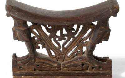 001927 Papua, Cenderawasih Bay, neckrest