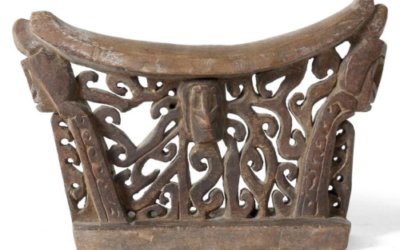 001928 Papua, Cenderawasih Bay, neckrest